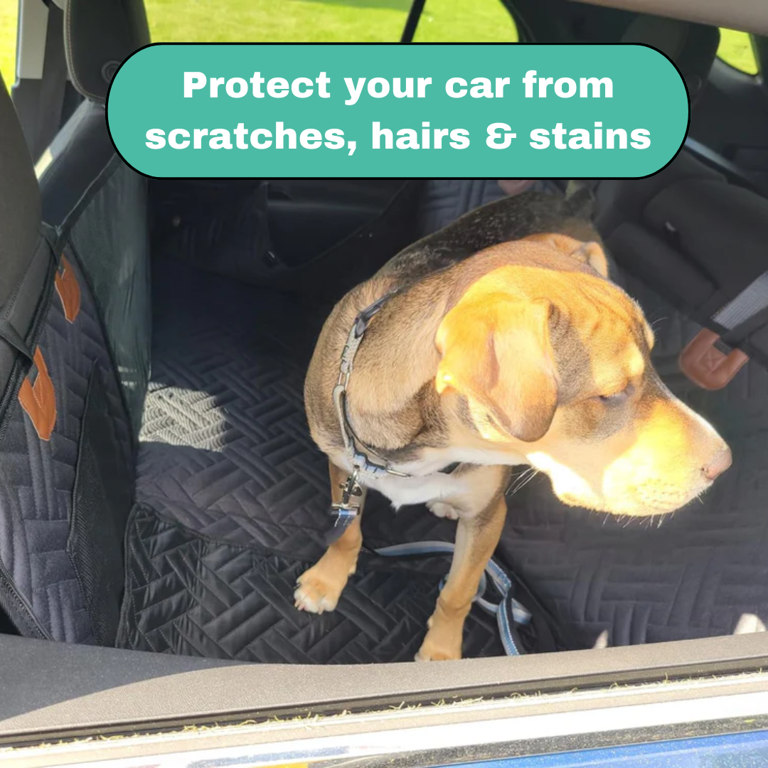 Paws Hard Bottom™ Seat Protector