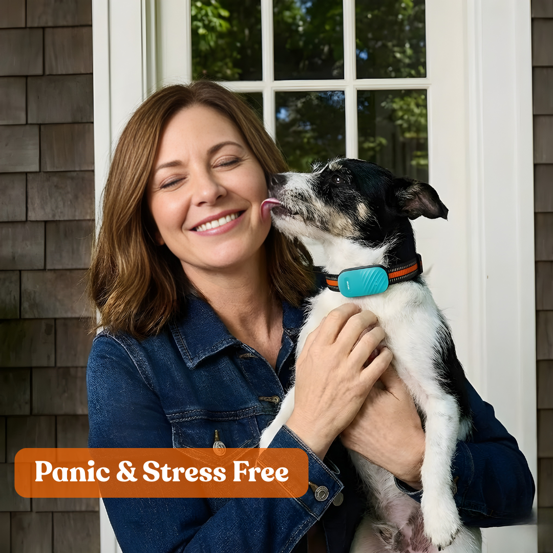 Paws Domain Smart Tracker