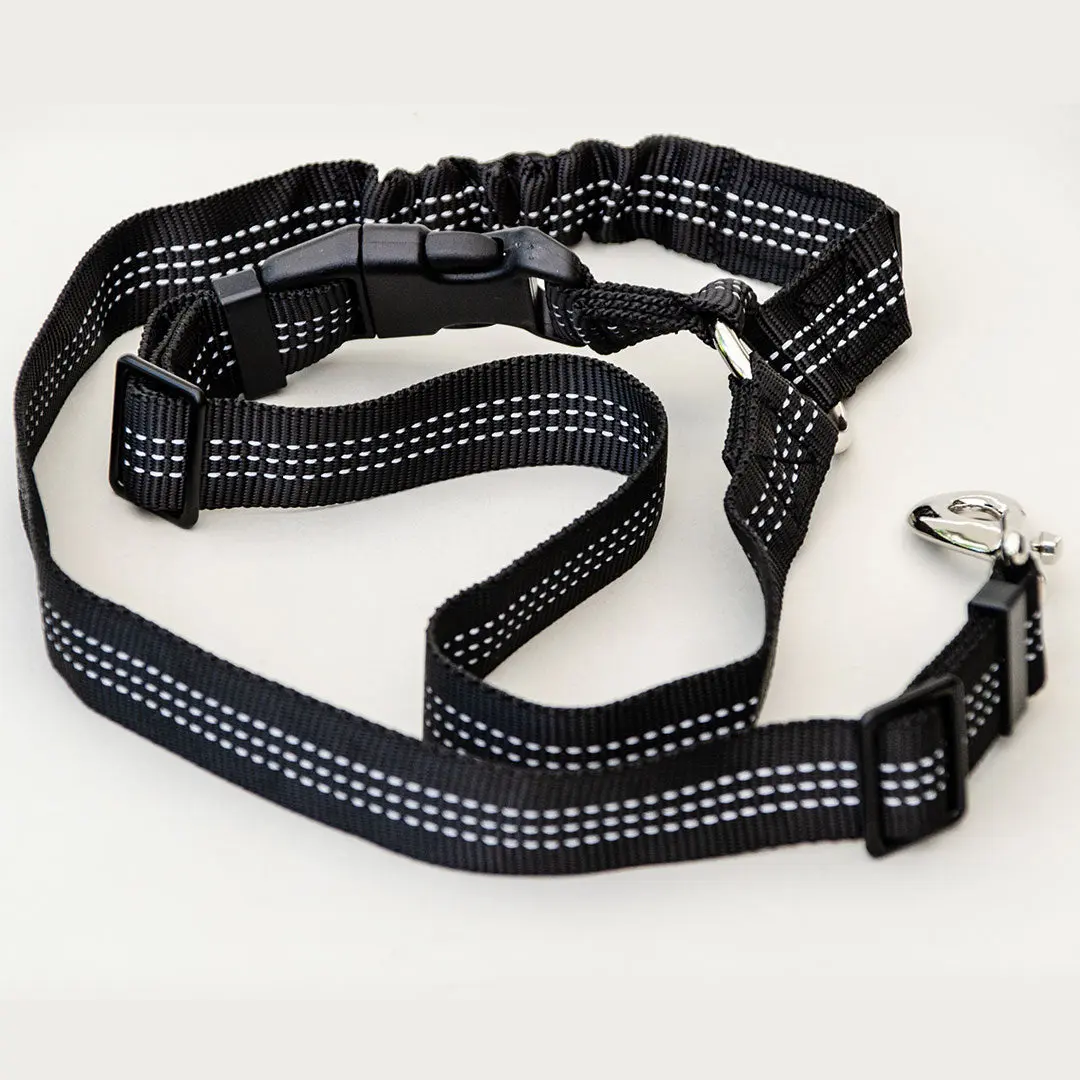 Dog Seatbelt 2.0