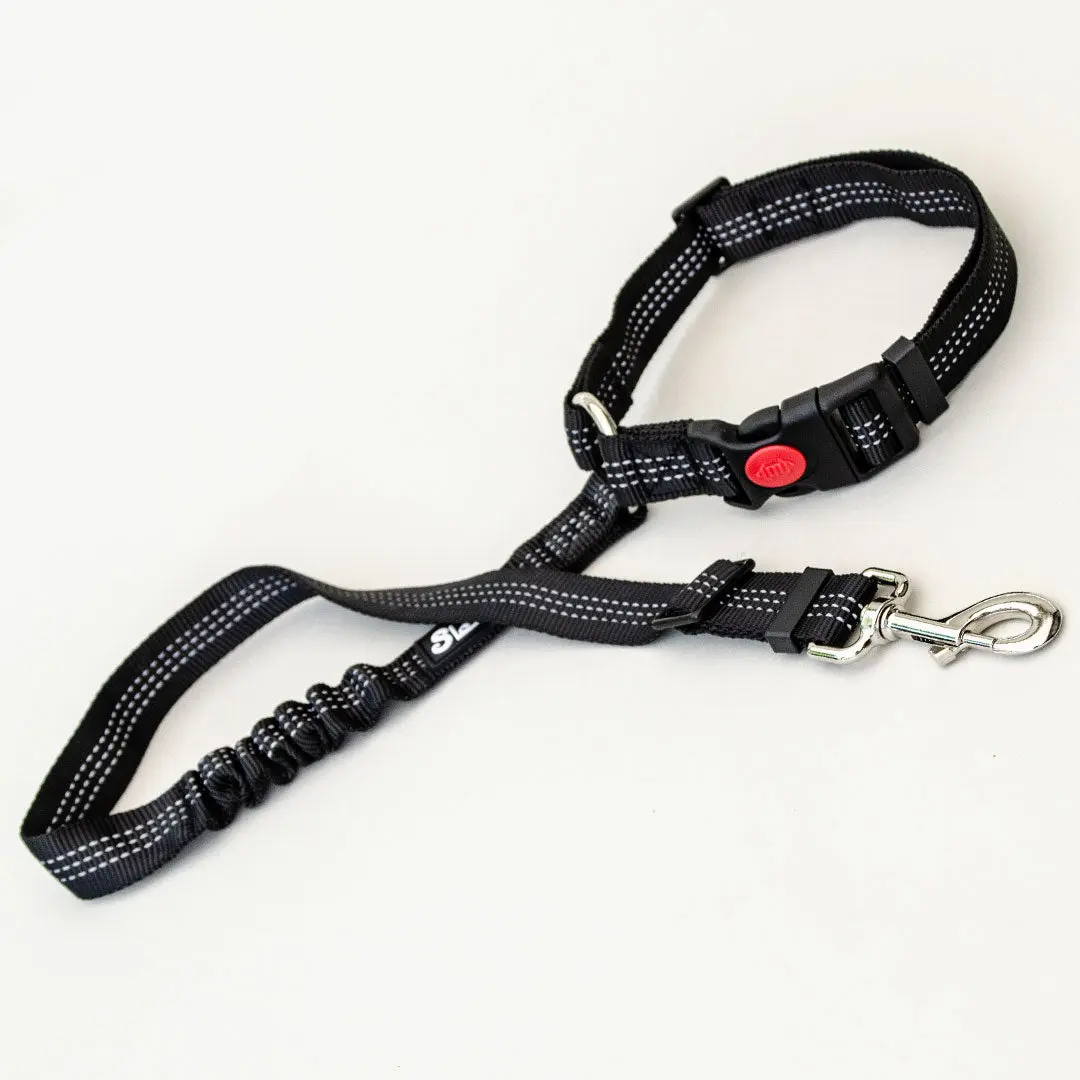 Dog Seatbelt 2.0