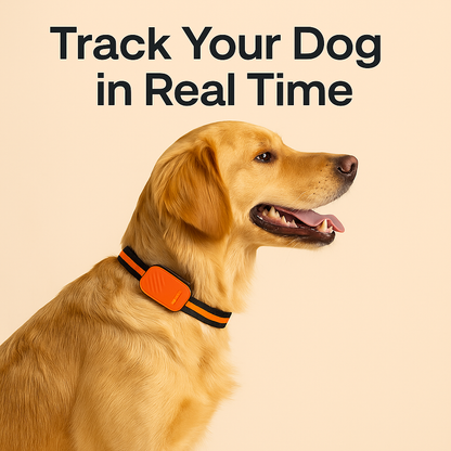 Paws Domain™ GPS Tracker