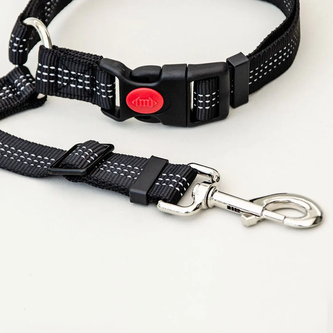 Dog Seatbelt 2.0
