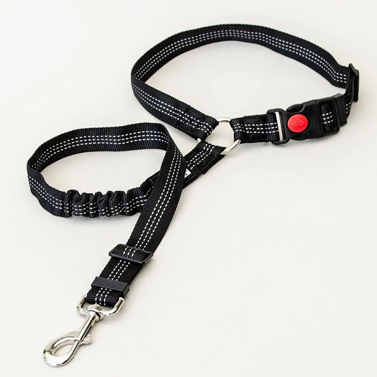 Dog Seatbelt 2.0
