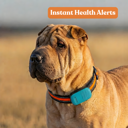 Paws Domain Smart Tracker