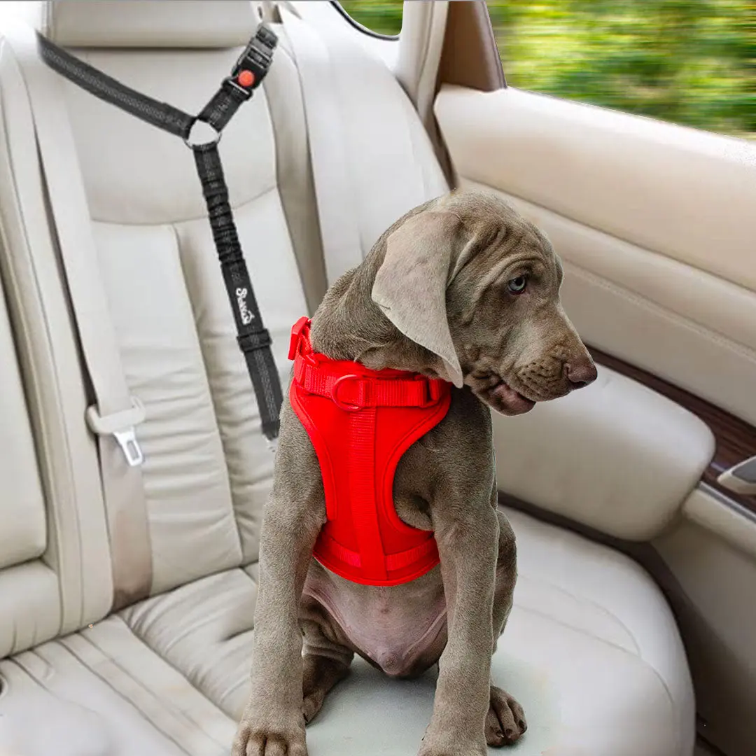 Dog Seatbelt 2.0