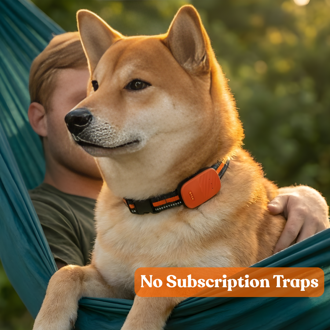 Paws Domain Smart Tracker