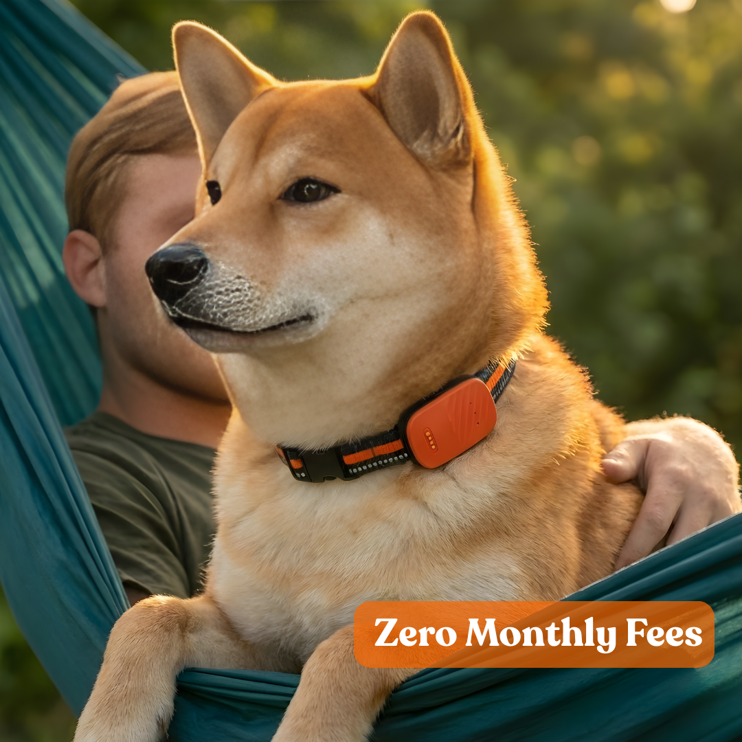 Paws Domain Smart Tracker