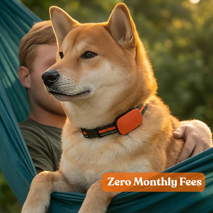 Paws Domain Smart Tracker