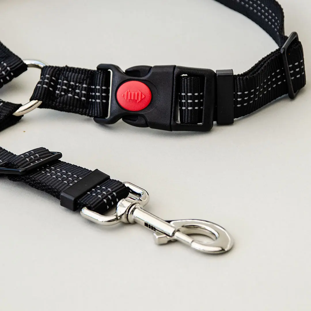 Dog Seatbelt 2.0