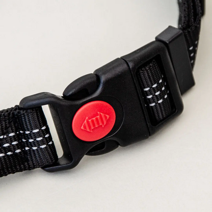 Dog Seatbelt 2.0