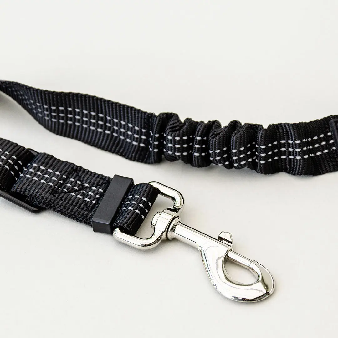 Dog Seatbelt 2.0