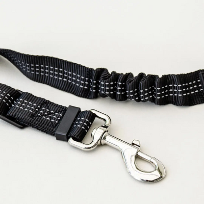 Dog Seatbelt 2.0