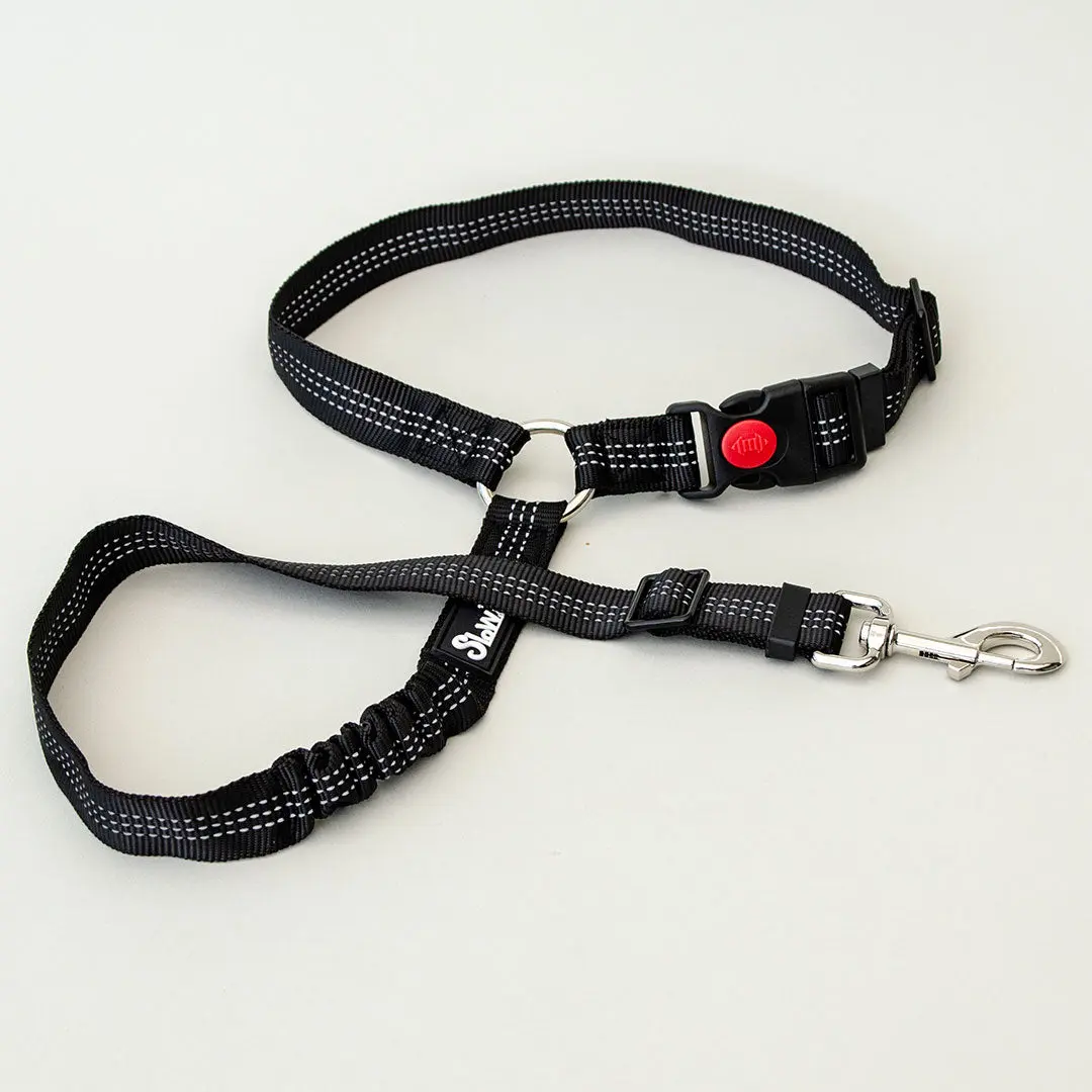 Dog Seatbelt 2.0