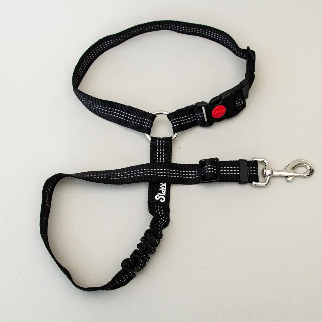 Dog Seatbelt 2.0