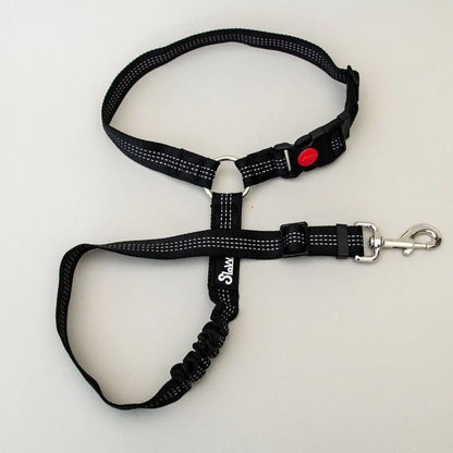 Dog Seatbelt 2.0