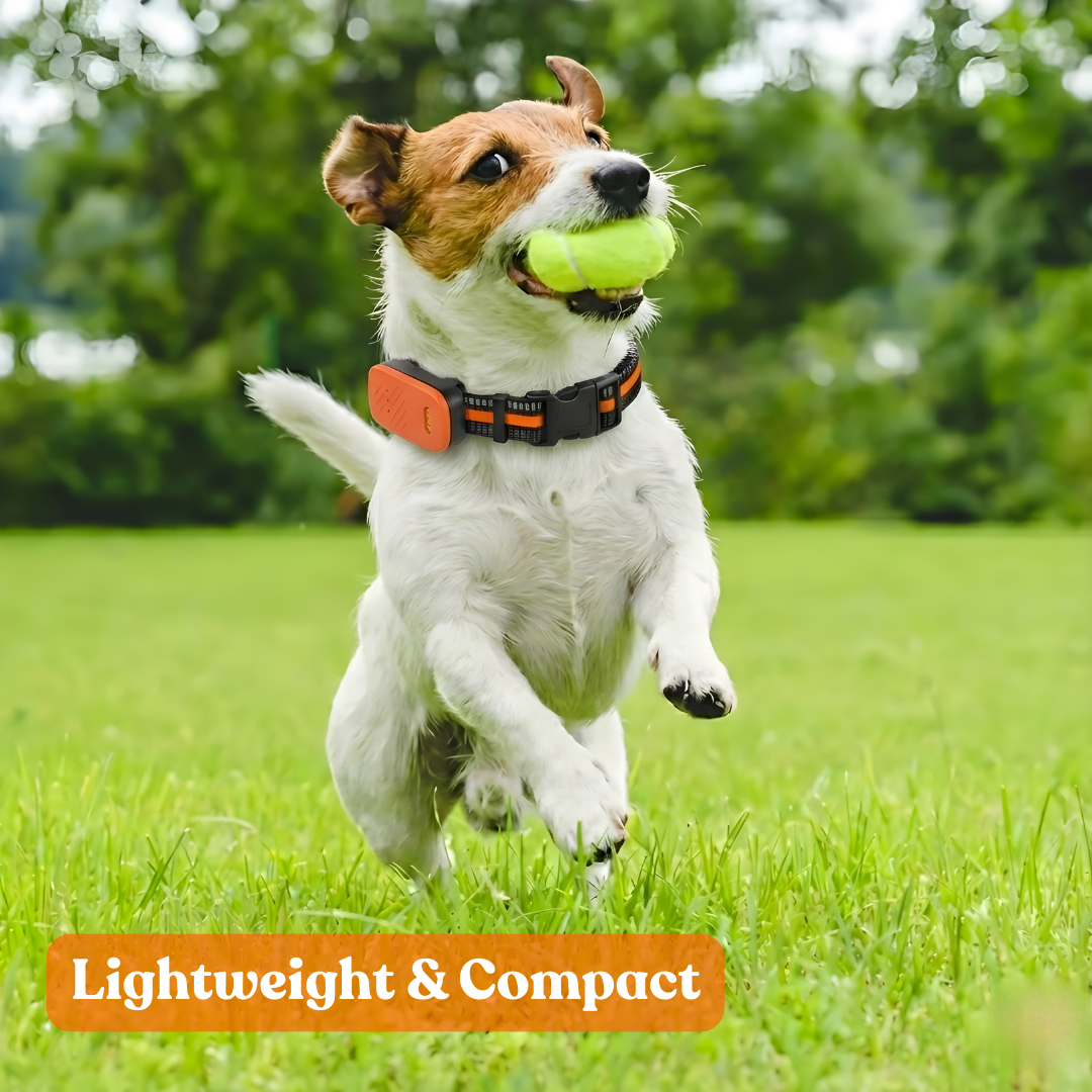 Paws Domain Smart Tracker