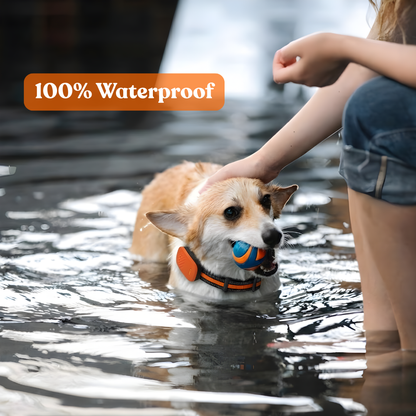 Paws Domain Smart Tracker