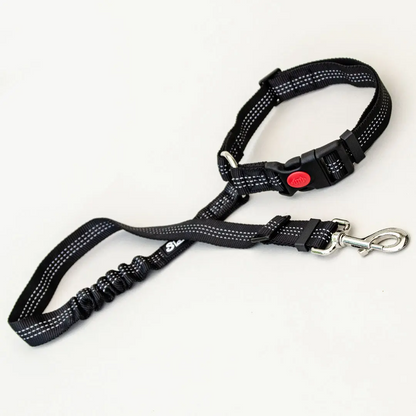 Dog Seatbelt 2.0