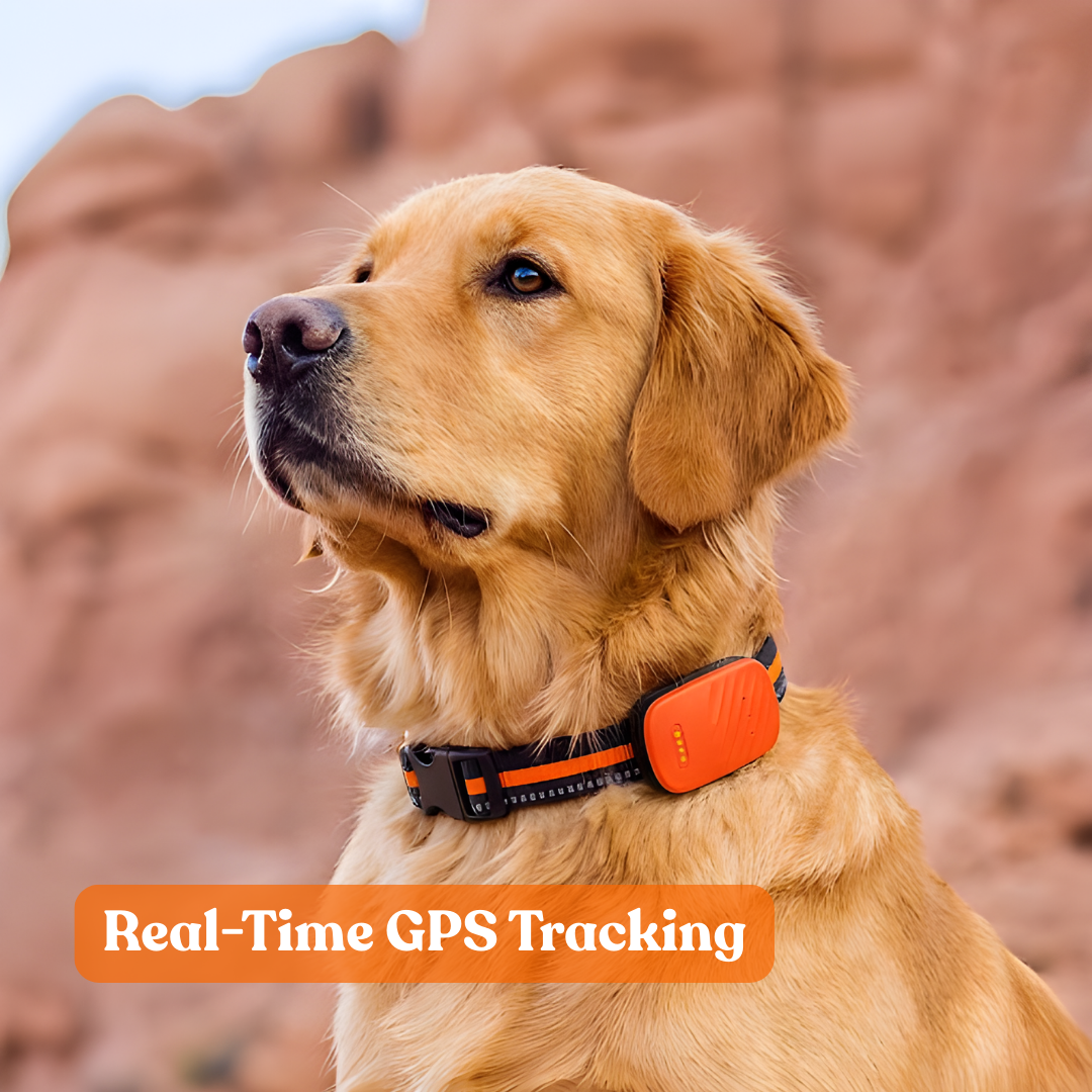 Paws Domain Smart Tracker