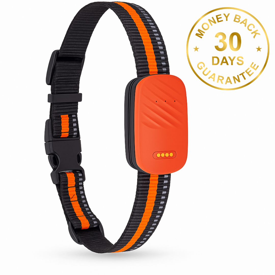 Yoqi™ Smart Dog Tracker