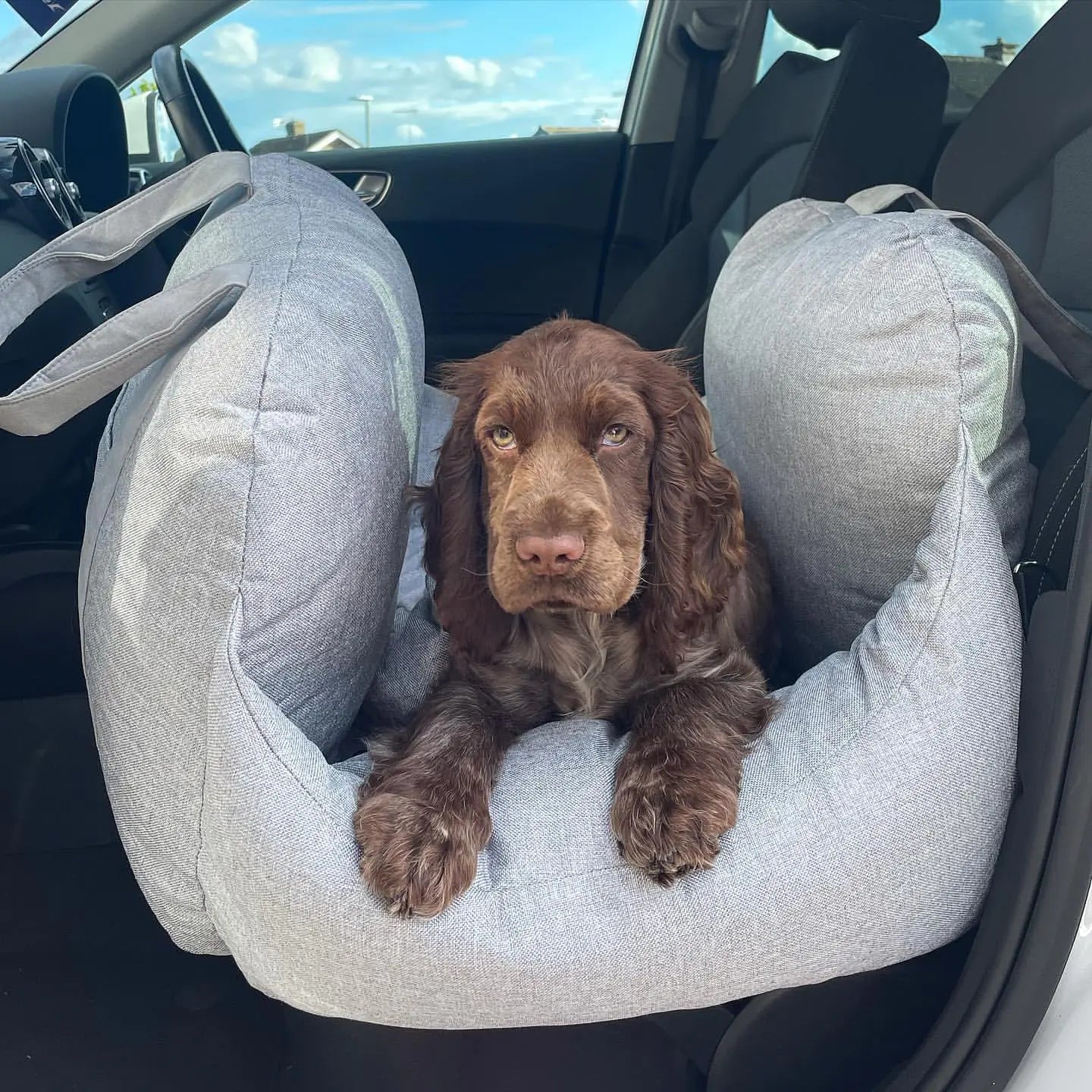 Deluxe Travel Bed